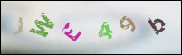 Registration Image