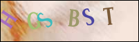 Registration Image