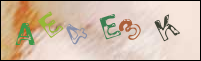 Registration Image