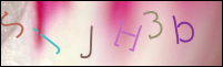 Registration Image