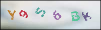 Registration Image