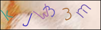 Registration Image