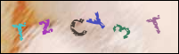 Registration Image